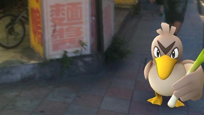 最勇敢的寶可夢精靈？網友認證就是它