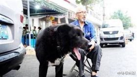 怕自己走了沒人照顧牠　老翁立遺囑留40萬給愛犬 圖／翻攝自微博