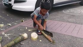 小朋友,竹筍,八八風災（圖／翻攝自臉書）
https://www.facebook.com/permalink.php?story_fbid=1807955689441272&id=100006805758640