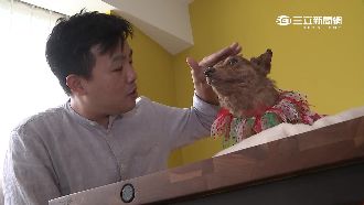 不捨愛狗死　飼主控獸醫院無照照顧員