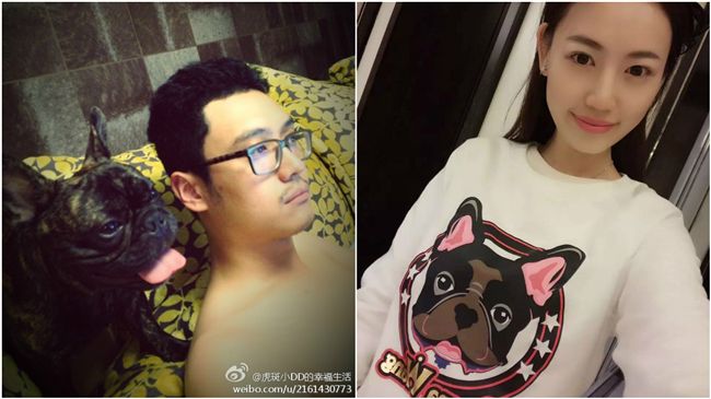 小王愛犬當LOGO　王寶強傻站台