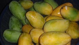 (名家)蘭姆酒吐司