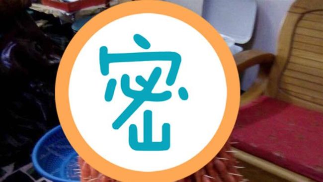要「好兄弟」吃飽　上百隻蝦組海鮮塔