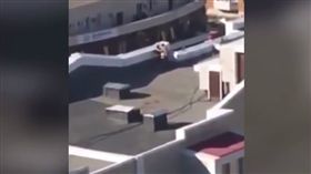 頂樓,做愛,動物,哈薩克
圖／翻攝自YouTube