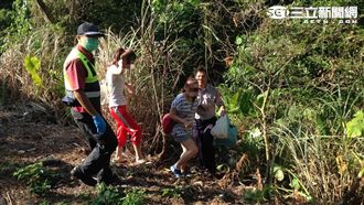小黃閃車滑落山坡　樹幹成了保命路障