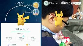 皮卡丘 圖/記者王怡翔攝