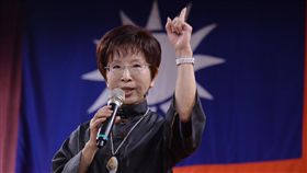 洪秀柱,圖／中央社