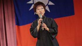 國民黨主席洪秀柱出席新黨黨慶。（圖／國民黨提供）