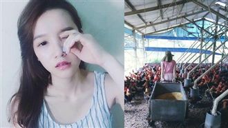 養雞界公主！正妹天天被雞啄、撿雞屍