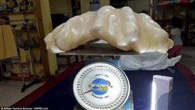 珍珠／每日郵報