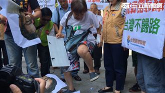 大嬸踩爆沙海林肖像：要統蝦米碗糕？