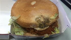 歡樂送漢堡發霉？網友驚呼：買到盜版麥當勞