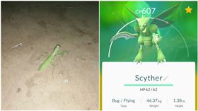 螳螂、飛天螳螂、寶可夢、pokemon go／爆系公社寶可夢討論區