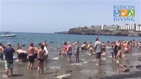 西班牙遊客拯救鯨魚（圖／翻攝自YouTube）