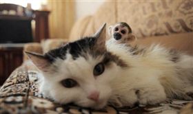 圖／AP／達志影像