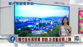 群創,友達,王志超,彭双浪,觸控面板