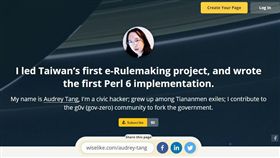 唐鳳、Q&A（圖／翻攝自Wiselike）