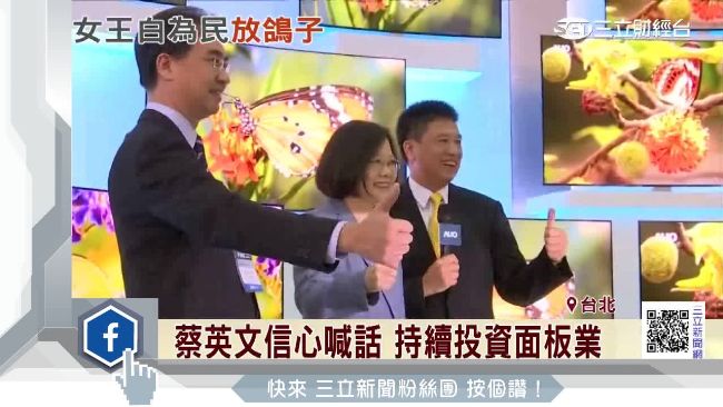 蔡英文現身面板展　面板女王突閃人