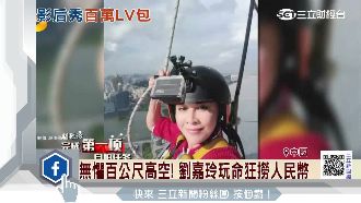 劉嘉玲玩命賺人民幣　大秀訂製LV包