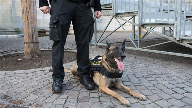 疏忽留警犬入巡邏車熱死　美警遭開除