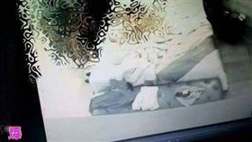 雲河概念旅館,偷拍,性愛光碟（圖／翻攝自爆料公社）
https://www.facebook.com/permalink.php?story_fbid=326083374408821&id=162608724089621