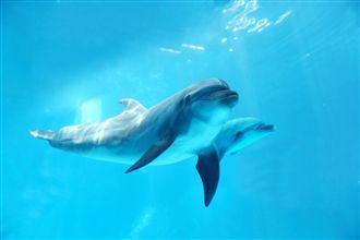 海洋最黑暗的生物！他目睹女友被狂鑽