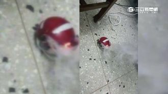 寶貝球行充大爆炸　「大師級」最危險