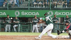 高國慶（林敬旻攝）