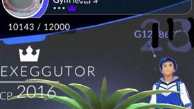 寶可夢　圖／翻攝自Dcard