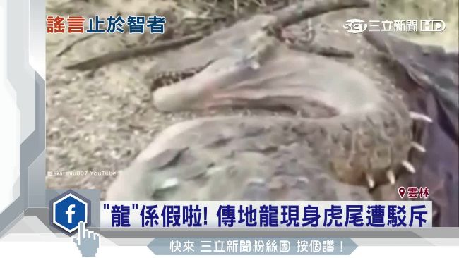 網傳「地龍」驚現雲林虎尾　假的！