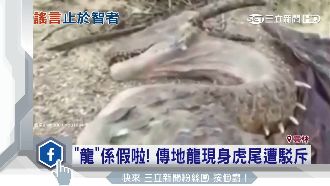 網傳「地龍」驚現雲林虎尾　假的！