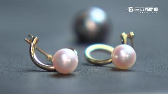 「黃金珍珠」掀熱潮　一小顆喊價十萬