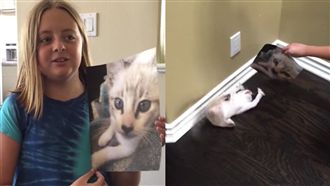 影／小主人秀照片給小貓看卻嚇壞牠