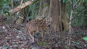 (名家)環境資訊中心