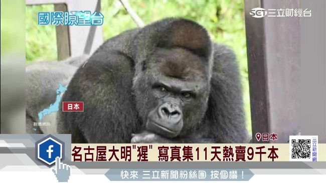 名古屋大明「猩」　寫真集熱賣9千本