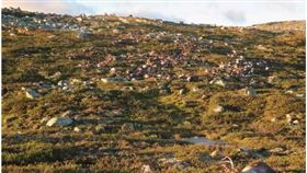馴鹿
https://www.thesun.co.uk/news/1690971/bodies-of-323-reindeer-litter-the-countryside-after-being-struck-by-massive-lightning-bolt-in-norway/