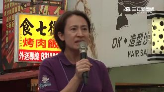 段宜康失言救援？傳蕭美琴對決徐榛蔚