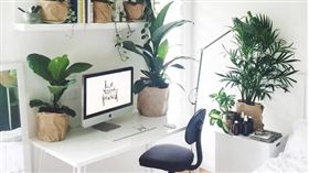 居家 美學 植物
https://www.instagram.com/p/BGxFTIvEaWD/?taken-by=urbanjungleblog