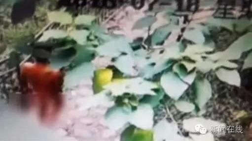 小鮮肉全裸搶劫　栽在漂亮阿姨手上了