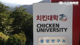 韓國京畿道炸雞大學。（圖／記者簡佑庭攝影）