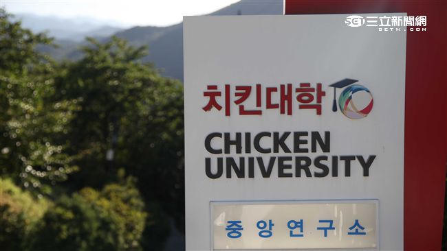 想成為炸雞專家？走一趟韓國炸雞大學