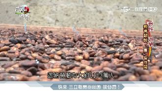 官方把持難生存！迦納走私可可鄰國賣