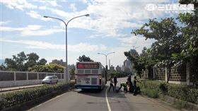 馬術好手蔣家穎的愛駒Gustav遭公車追撞後安樂死（翻攝畫面）