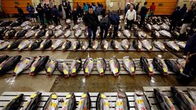 築地魚市場（圖／路透社／達志影像）