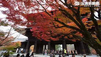 日店家「8字標語」噴台味！台人全被收服