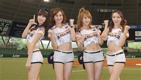 統一獅與西武獅交流活動（圖／統一獅提供）