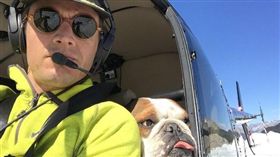 狗-Instagram-https://www.instagram.com/mrbentley_thedog/