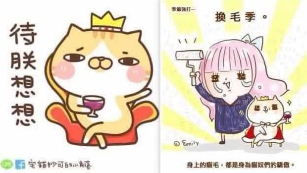 告臭跩貓抄襲　妙可竟私訊愛蜜莉和解
