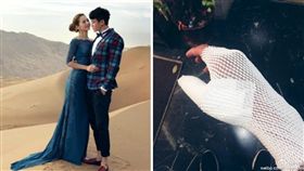 圖翻攝自何潤東微博　辛誌諭臉書　合成圖