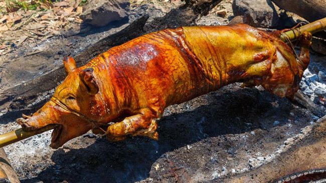 外籍移工吃狗肉？原來是吃烤乳豬